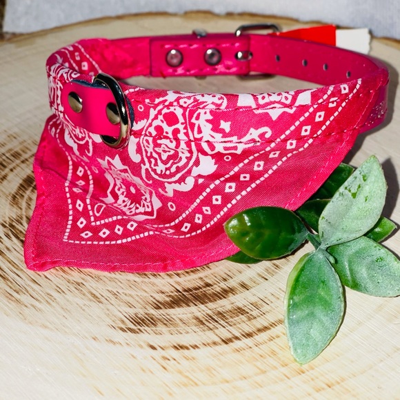 Brandera dog or cat collar for small to medium - Picture 4 of 7